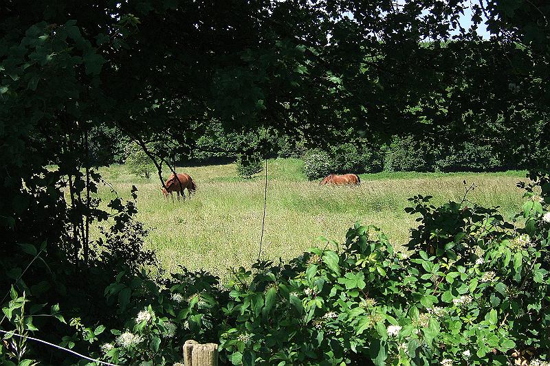 2010-06- (67).JPG